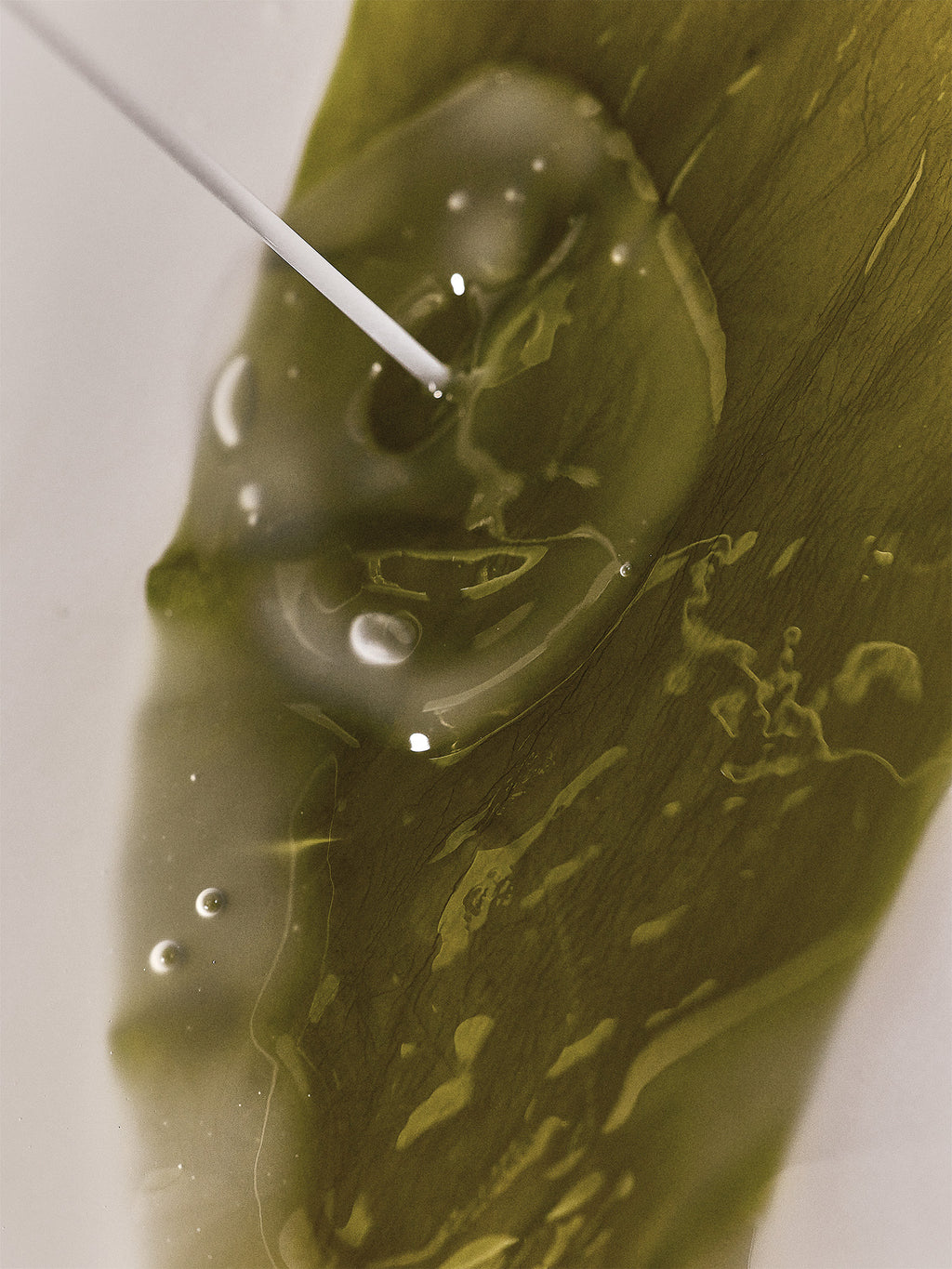 ORGANIC ALGAE KELP MASK 23ml / 0.77 fl. oz.