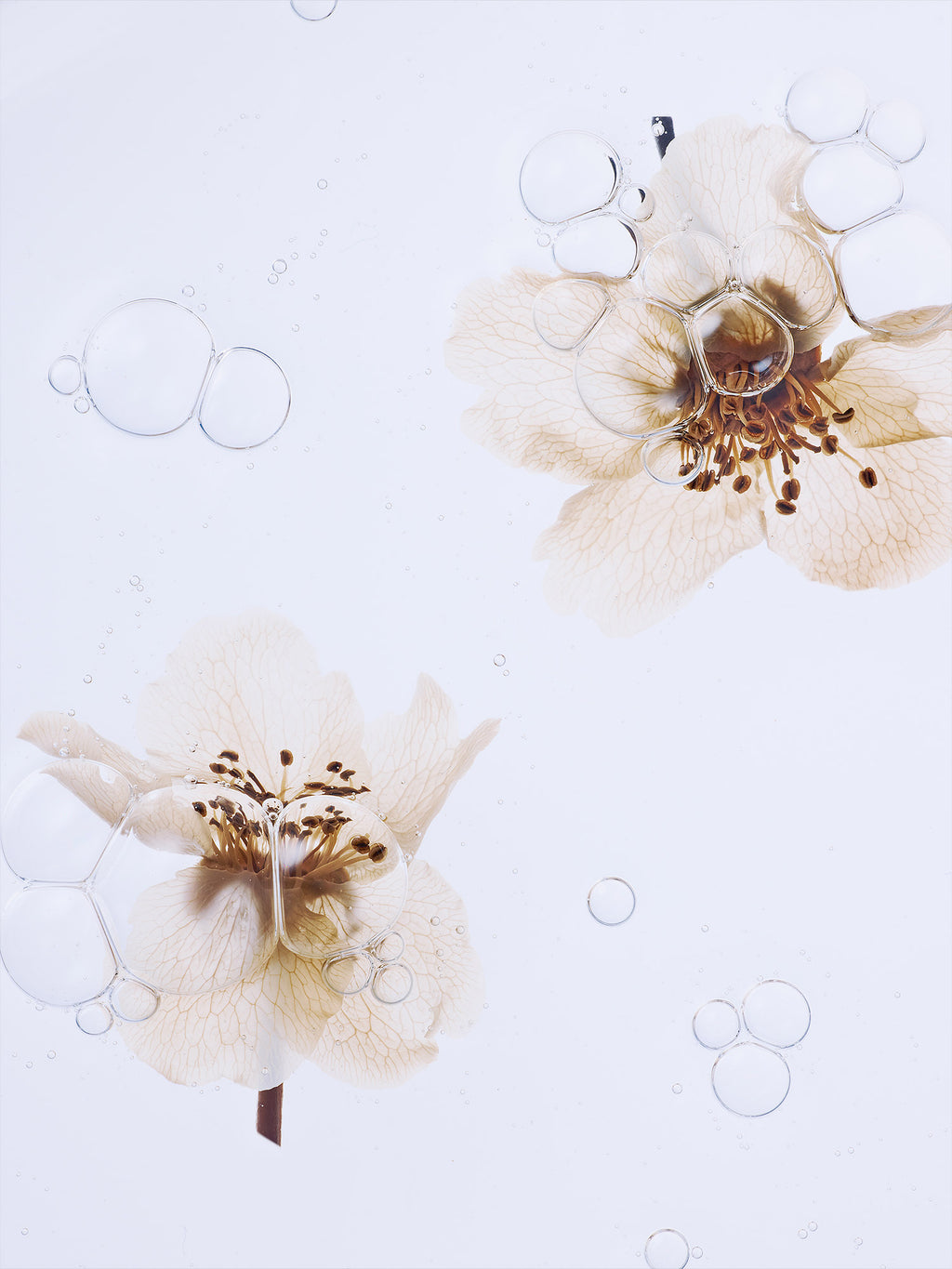 ORGANIC PEAR BLOSSOM ESSENCE TONER 160ml / 5.4 fl. oz.