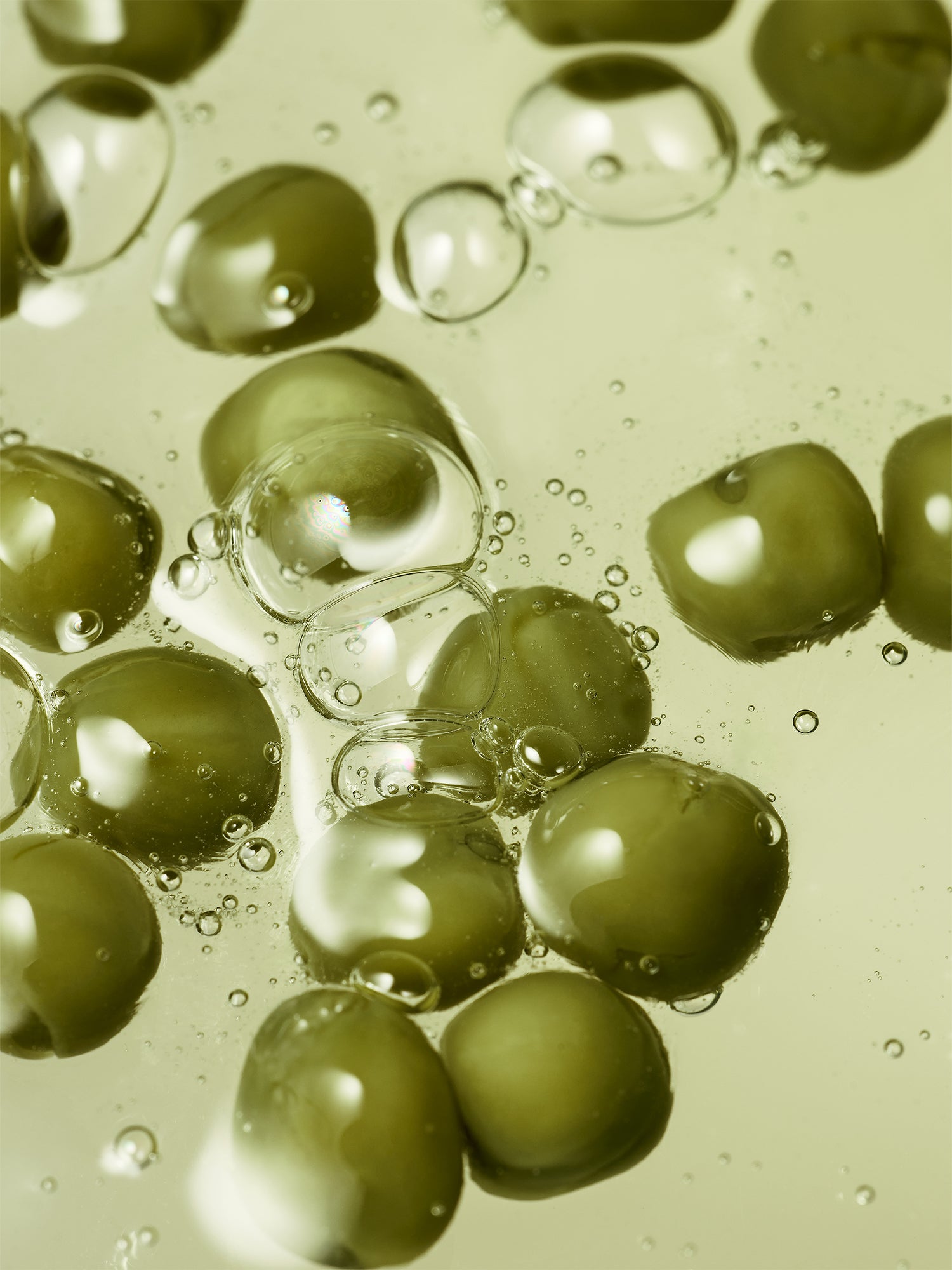 ORGANIC SEEDS GREEN PEAS SHAMPOO SCALP CARE 450ml / 15.2 fl. oz.